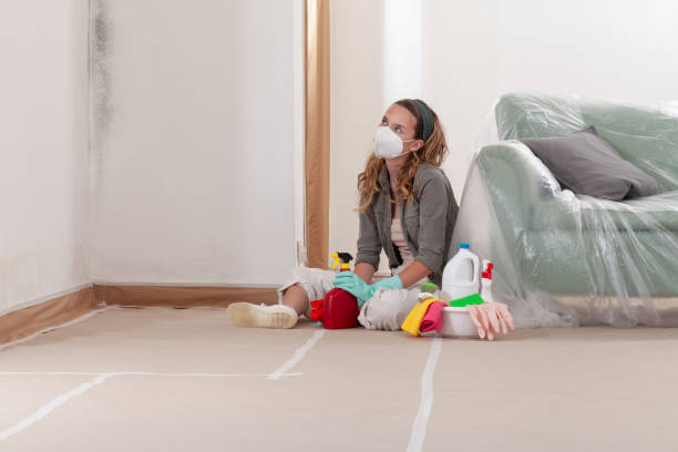Reliable Mold Removal contractor in Westwood, PA by WQB Mold Removal